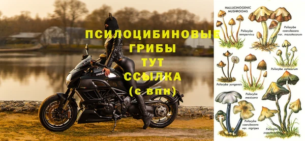 гидропоника Весьегонск