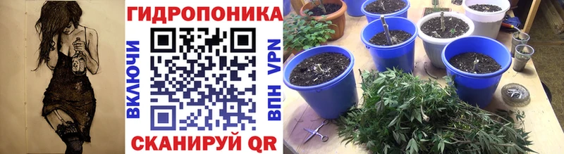 OMG как войти  как найти   Кораблино  Канабис индика 